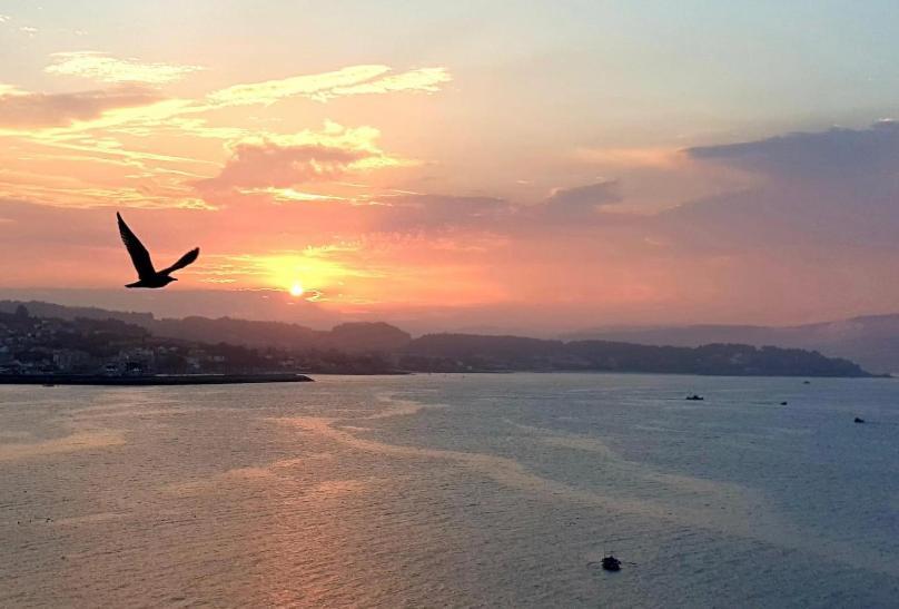 شقة Piso Vacaciones En El Mar سانكسينكسو المظهر الخارجي الصورة